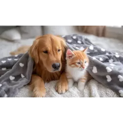 Koc 120x100 cm roz L ciepła mata dla psa lub kota z neuronalnym wzorem - 8719138072705