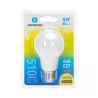 LED A60 E27 6W - 8433325203238