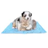 Mata chłodząca S 40x50cm dla psa lub kota żelowa z nadrukiem w krople - 8719138228126