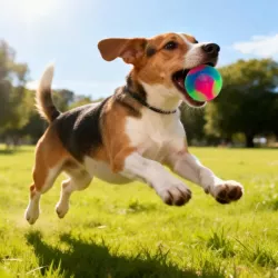 Świecąca piłka dla psa 5 cm LED Interaktywna trzy kolorowa zabawka - 8719138051199