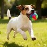 Świecąca piłka dla psa 6.5 cm LED Interaktywna trzy kolorowa zabawka - 8719138051205