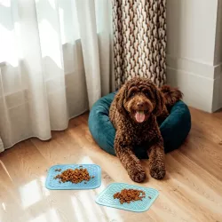 Mata do lizania 20x20 cm dla zwierząt płaska miska na karmę dla psa - 8719138196029