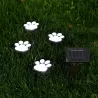Lampa solarna LED OGRODOWA GRUNTOWA WBIJANA 4xPSIE ŁAPKI-5904703014119