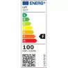 Naświetlacz LED SMD Tiga2 100W 4500K Czarny-5904703028345