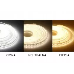 Taśma LED 120 diod / metr barwa biała neutralna 12V 9,6W/m samoprzylepna-5903002034774