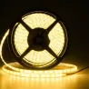 Taśma LED BIAŁY NEUTRALNY 4500K ROLKA 5m 600 LED PREMIUM 12v wodoodporna-5903002034798