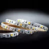Taśma LED SMD 5050 60LED/m RGB+WW 12mm WIELOKOLOROWA IP20 12V-5903002032633