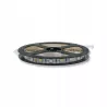 TAŚMA LED LVT 1408 RGB+NW 5050 5m 300xLED IP20-5903002039410