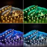 Pasek LED RGBW 300LED 12V RGB + Warm White 5m 19,2W/m IP20 wielokolorowa-5908263380257