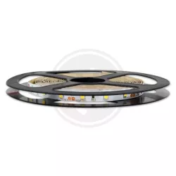 Taśma LED 2835 Premium  5m 300led IP65 czerwona-5903002035795