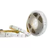 Taśma LED RGB 5050 10m 300led IP20-5903002039342