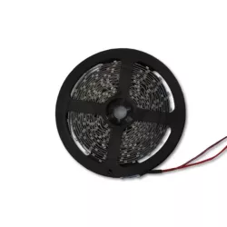 Taśma LED 2835 Premium  5m 300led IP20 niebieska-5903002034828