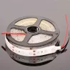 TAŚMA LED 2835 NIEBIESKA IP65 300LED 6130 5m (7224)-5903002032749