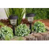 Lampa solarna LED WBIJANA czujnik zmierzchu grot-5904703001324