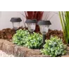Lampa solarna LED WBIJANA czujnik zmierzchu grot-5904703001324