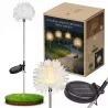 Lampki Solarne do Ogrodu Dmuchawiec LED Wbijane z Czujnikiem Wodoodporne-5904703018889