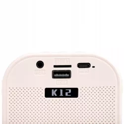 ZESTAW KARAOKE 2 MIKROFONY + GŁOŚNIK BEZPRZEWODOWY BLUETOOTH SUPER DŹWIĘK-5904703017639