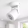 Oprawa Natynkowa Halogenowa Tuba LED GU10 ruchoma spot sufitowa biała-5908263388468