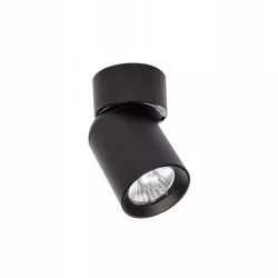 Reflektor sufitowy okrągły Masterled 1695 czarny VIP-5904703004233