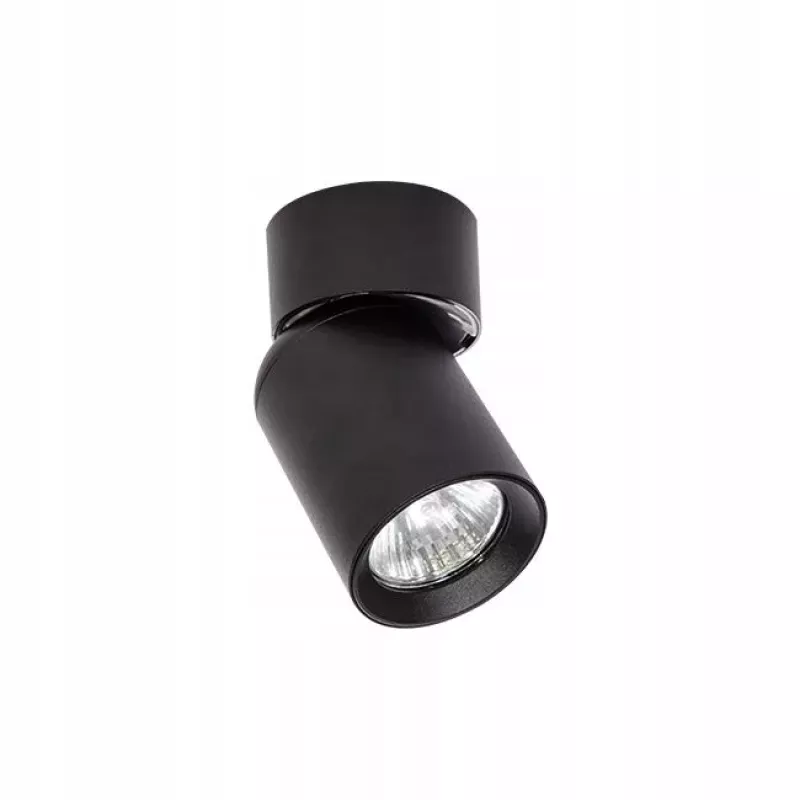 Reflektor sufitowy okrągły Masterled 1695 czarny VIP-5904703004233
