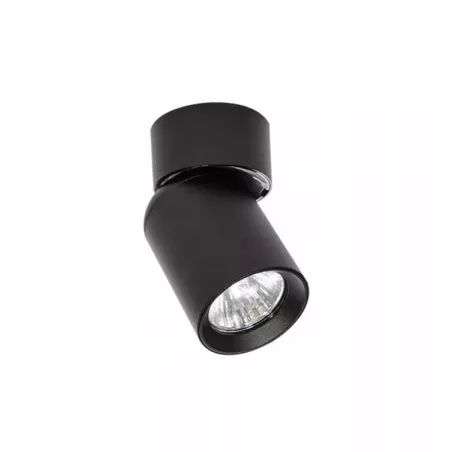 Reflektor sufitowy okrągły Masterled 1695 czarny VIP-5904703004233