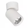 KINKIET RUCHOMY OPRAWA HALOGENOWA LED GU10 lampa SUFITOWA SPOT-5904703004240
