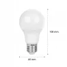 Żarówka LED E27 8W biały ciepły 2700K 710lm kula A60 230V-5903002036907