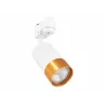 OPRAWA HALOGENOWA LED GU10 SZYNOWA LAMPA KLEMENS BIAŁY + ZŁOTY-5904703002598