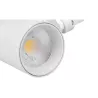 Reflektor LED szyna 3-fazy Pulso 10W 3CCT biał-5904703005520