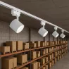 Reflektor szynowy LED lampa szynoprzewód sufitowy oprawa spot GX53 1-FAZA-5904703010401