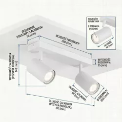 Lampa sufitowa HALOGENOWA kinkiet OPRAWA LED reflektor SPOT 2x GU10-5904703028604