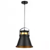 LAMPA WISZĄCA SUFITOWA E27 ŻYRANDOL LOFT NOWOCZESNA CZARNY złoty-5904703016564