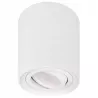 Oprawa Natynkowa lampa sufitowa GU10 Halogenowa Tuba LED sufitowa-5903002038086