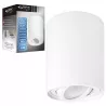 Oprawa Natynkowa GU10 Halogenowa Tuba LED sufitowa-5903002036839
