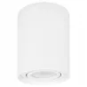 Oprawa Natynkowa GU10 Halogenowa Tuba LED sufitowa-5903002036839