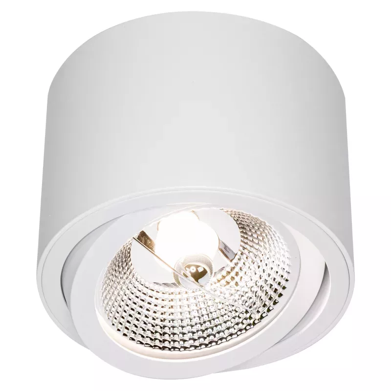 Oprawa Natynkowa lampa halogenowa GU10 AR111 LED RUCHOMA biała-5908263388376