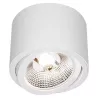 Oprawa Natynkowa lampa halogenowa GU10 AR111 LED RUCHOMA biała-5908263388376
