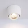 Oprawa Natynkowa lampa halogenowa GU10 AR111 LED RUCHOMA biała-5908263388376