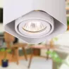 Oprawa Natynkowa GU10 Halogenowa Tuba LED sufitowa-5904703000648