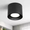 Oprawa Natynkowa Halogenowa Tuba LED GU10 AR111 spot sufitowa-5904703013648