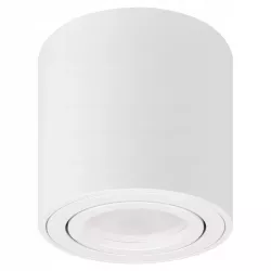 OPRAWA NATYNKOWA GU10 HALOGENOWA SPOT SUFITOWA tuba ruchoma na żarówkę-5904703015819