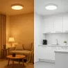 Plafon LED LAMPA Sufitowa Natynkowa 24W REGULOWANA 3CCT 2700/4000/6500K-5904703016939