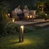 Lampa LED Ogrodowa 60cm zewnętrzna słupek stojąca LED regulacja 4000K-5904703009962