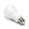 Żarówka okrągła LED A60 E27 25W 6500K 2600lm mleczna - 8433325350246