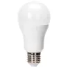 Żarówka okrągła LED A60 E27 25W 6500K 2600lm mleczna - 8433325350246