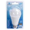Żarówka okrągła LED A60 E27 25W 6500K 2600lm mleczna - 8433325350246