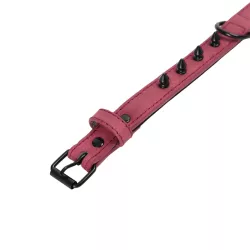 Klasyczna obroża dla psa z 8 ćwiekami rozmiar M 2xL45cm - 8719138143573