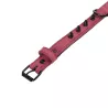 Klasyczna obroża dla psa z 8 ćwiekami rozmiar M 2xL45cm - 8719138143573