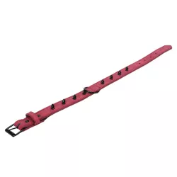 Klasyczna obroża dla psa z 8 ćwiekami rozmiar L 2.5xL52cm - 8719138143580