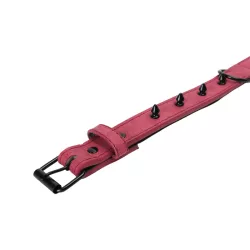 Klasyczna obroża dla psa z 8 ćwiekami rozmiar XL 3xL60cm - 8719138143597